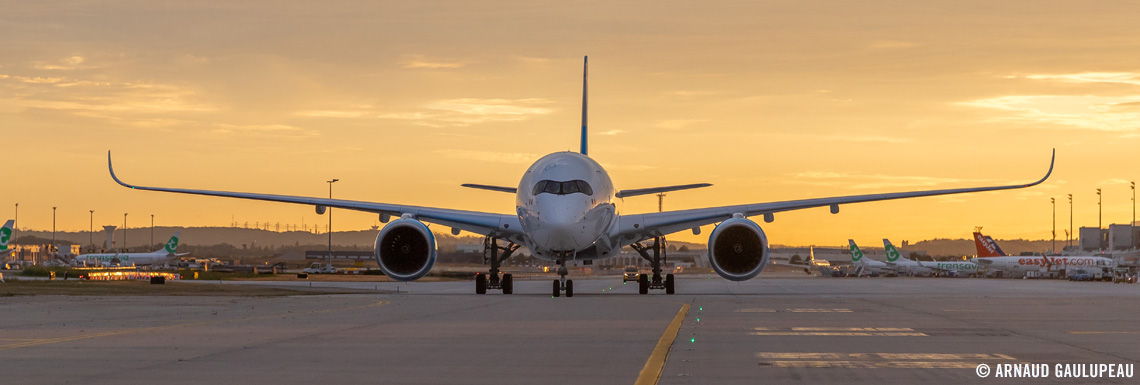 Our 100 A350 Fleet French Bee
